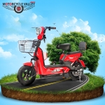 Arin Ebike 008Z