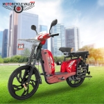 Arin eBike 04