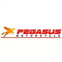 Pegasus Bangladesh