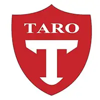 Taro Bangladesh