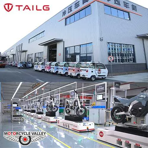tailgs-low-cost-pollution-free-long-distance-assurance-4-1756883109.webp