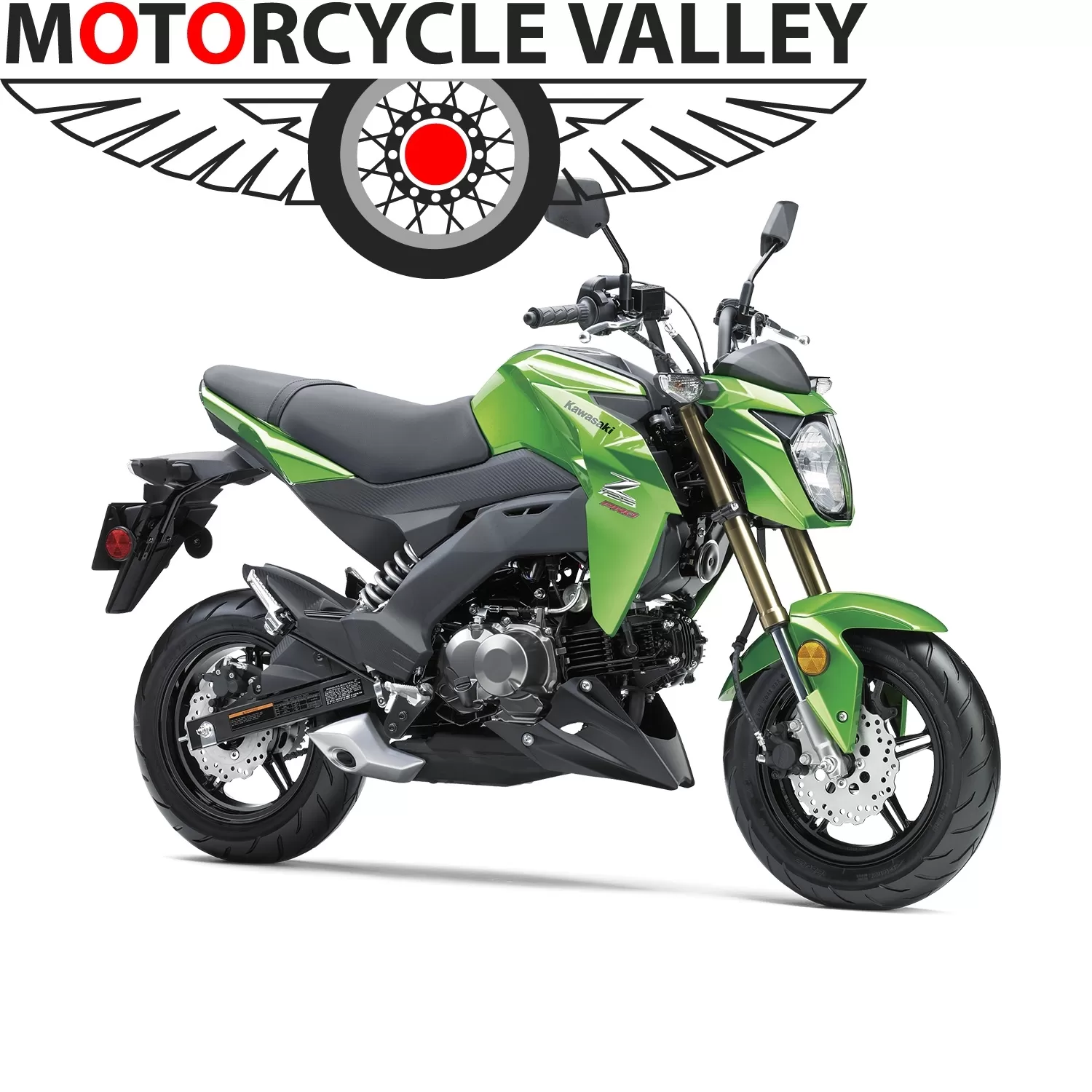 Kawasaki Z125 Pro