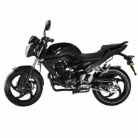 151920_sym-wolf-t1-150cc-black.webp