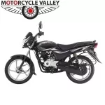 Bajaj Platina 100 KS