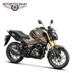 Hero Xtreme 160R 4V