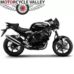 race-hyosung-gt125.webp