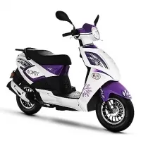 znen-goldfish-50cc.webp