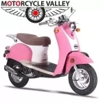 znen-snail-50cc.webp